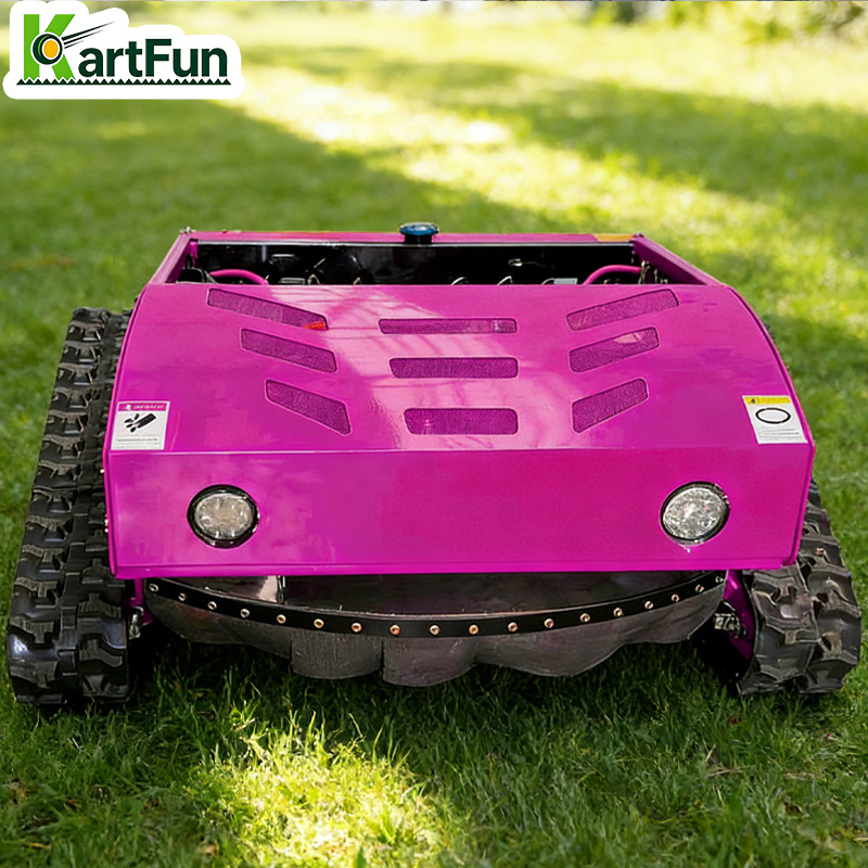 Hot Sale 196cc Remote Control  - Home Improvement Kit のレビューと価格